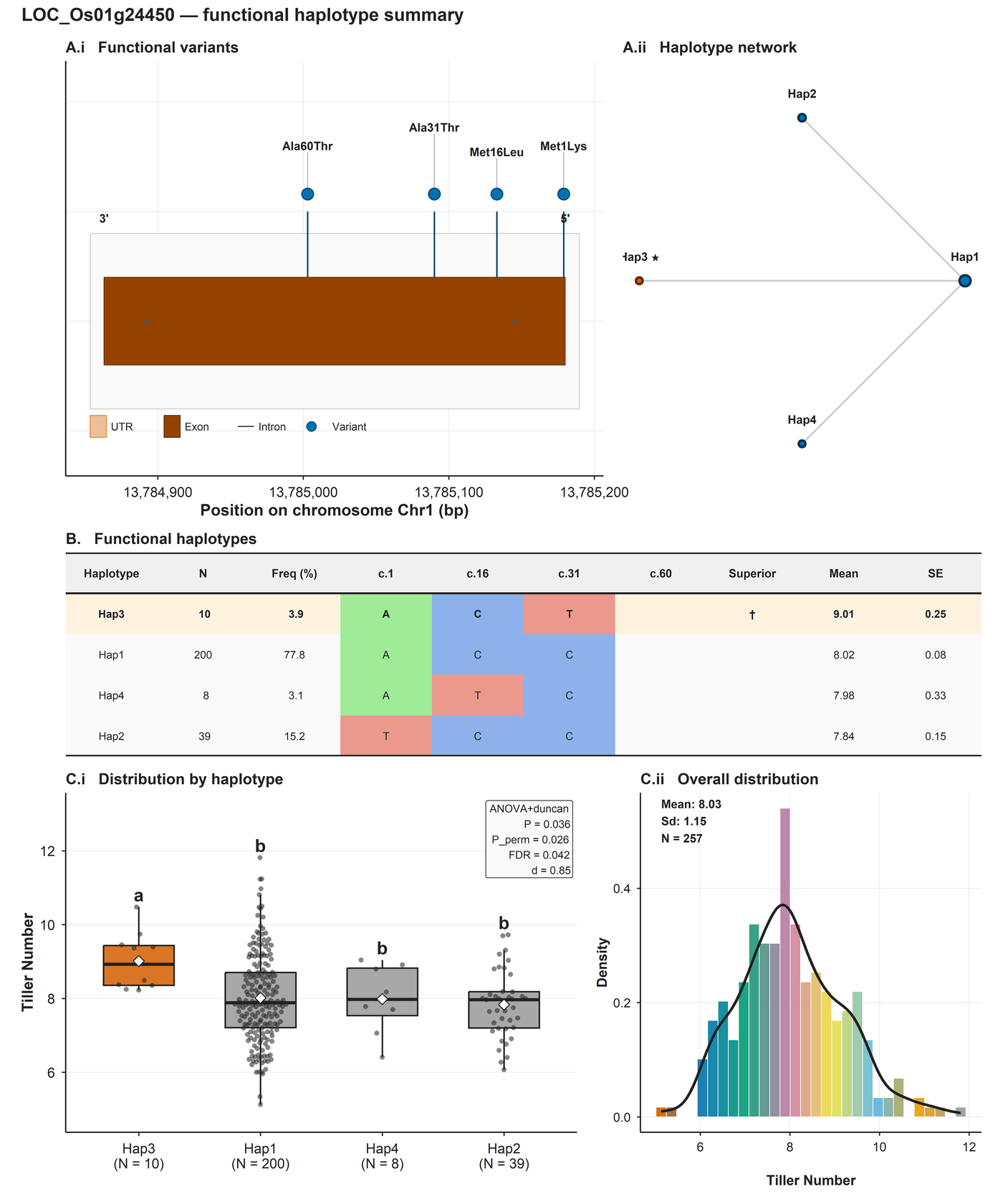 Example per-gene haplotype summary figure